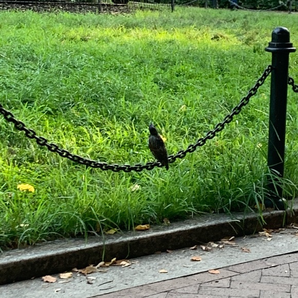 Meet your Posher, Maddie - Picture 1 of 1